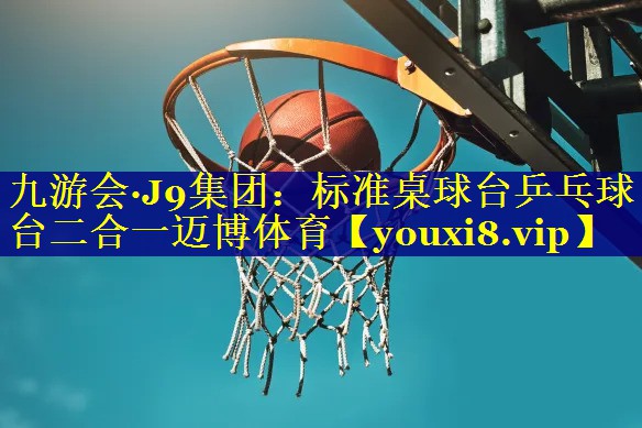 九游会·J9集团：标准桌球台乒乓球台二合一迈博体育