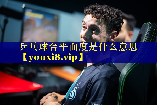 乒乓球台平面度是什么意思