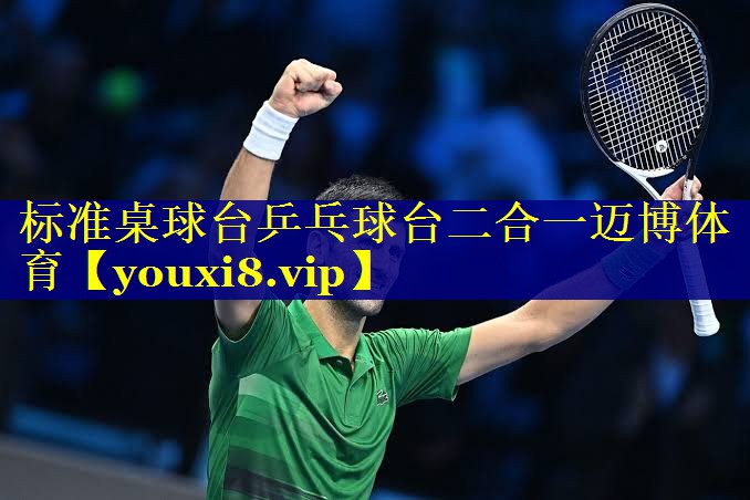 标准桌球台乒乓球台二合一迈博体育