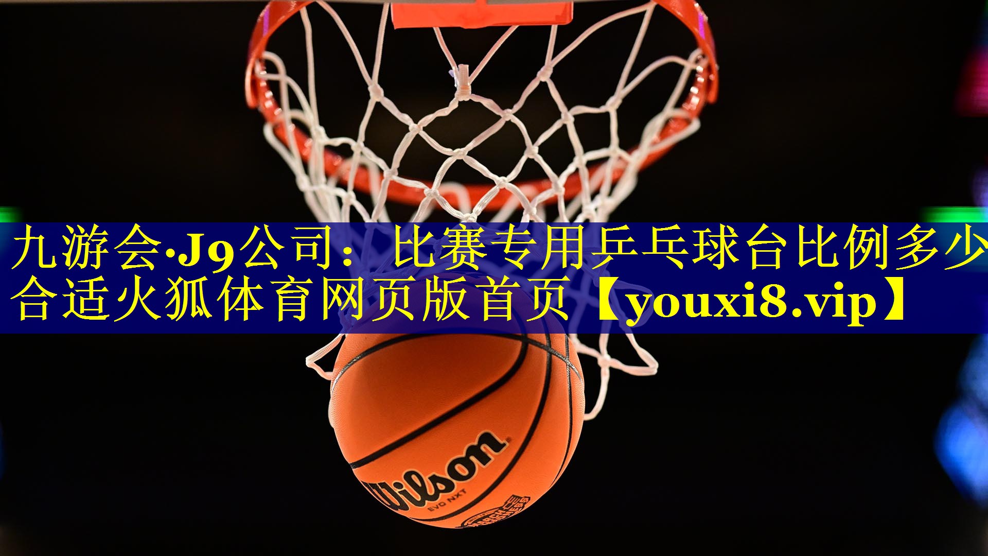 九游会·J9公司：比赛专用乒乓球台比例多少合适火狐体育网页版首页