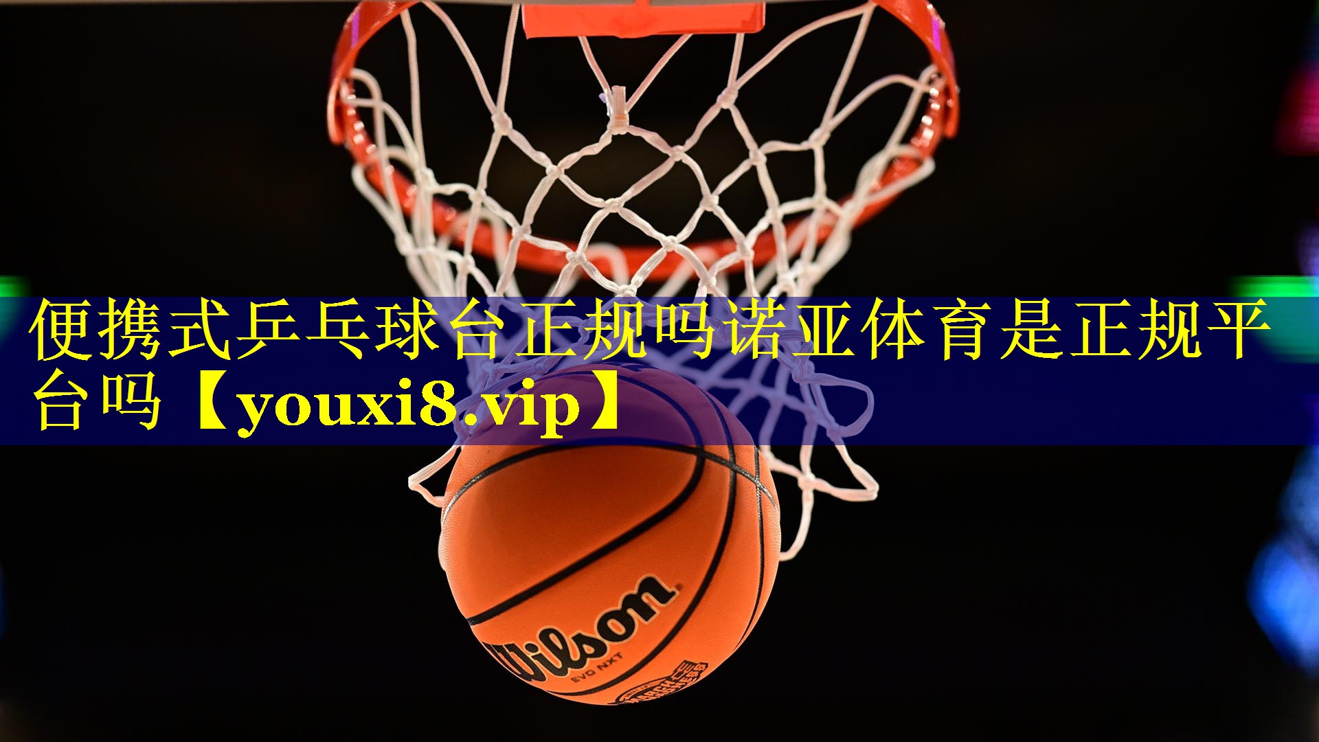 便携式乒乓球台正规吗诺亚体育是正规平台吗