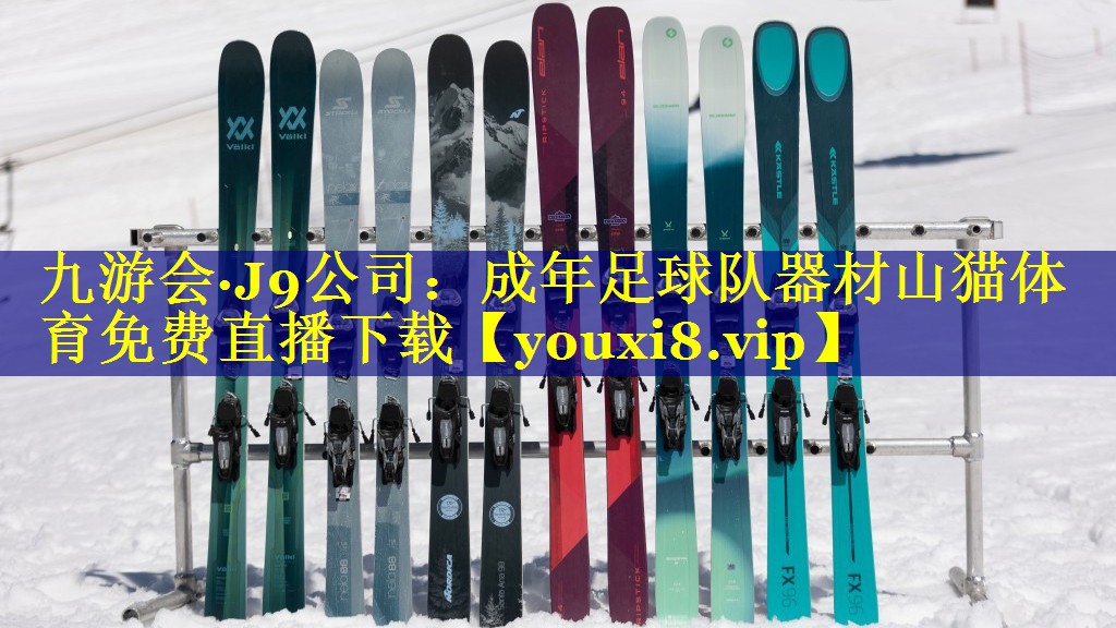 九游会·J9公司：成年足球队器材山猫体育免费直播下载