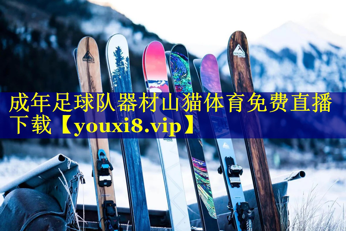 成年足球队器材山猫体育免费直播下载