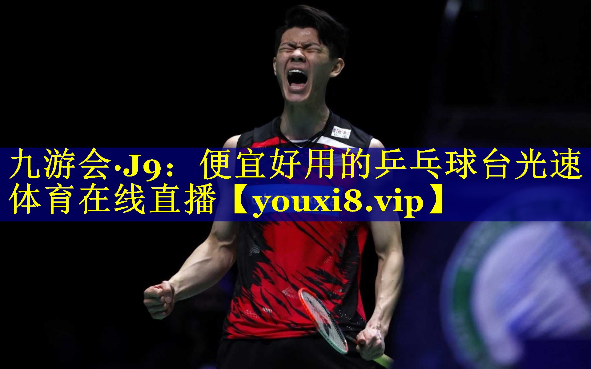 九游会·J9：便宜好用的乒乓球台光速体育在线直播