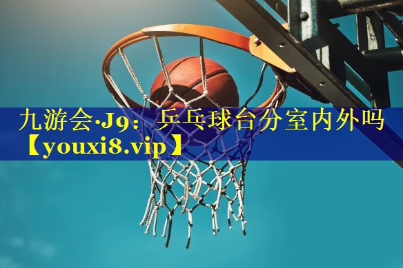 乒乓球台分室内外吗