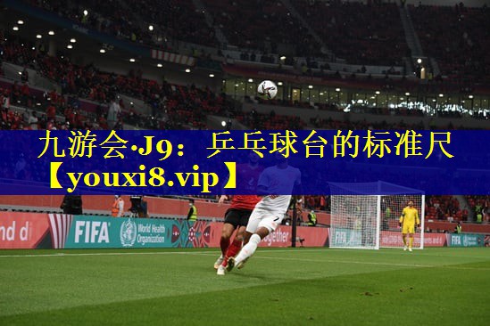 乒乓球台的标准尺